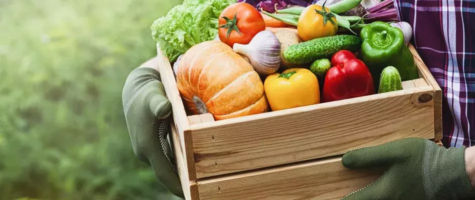Fruits et légumes à gogo : le secret pour bien manger