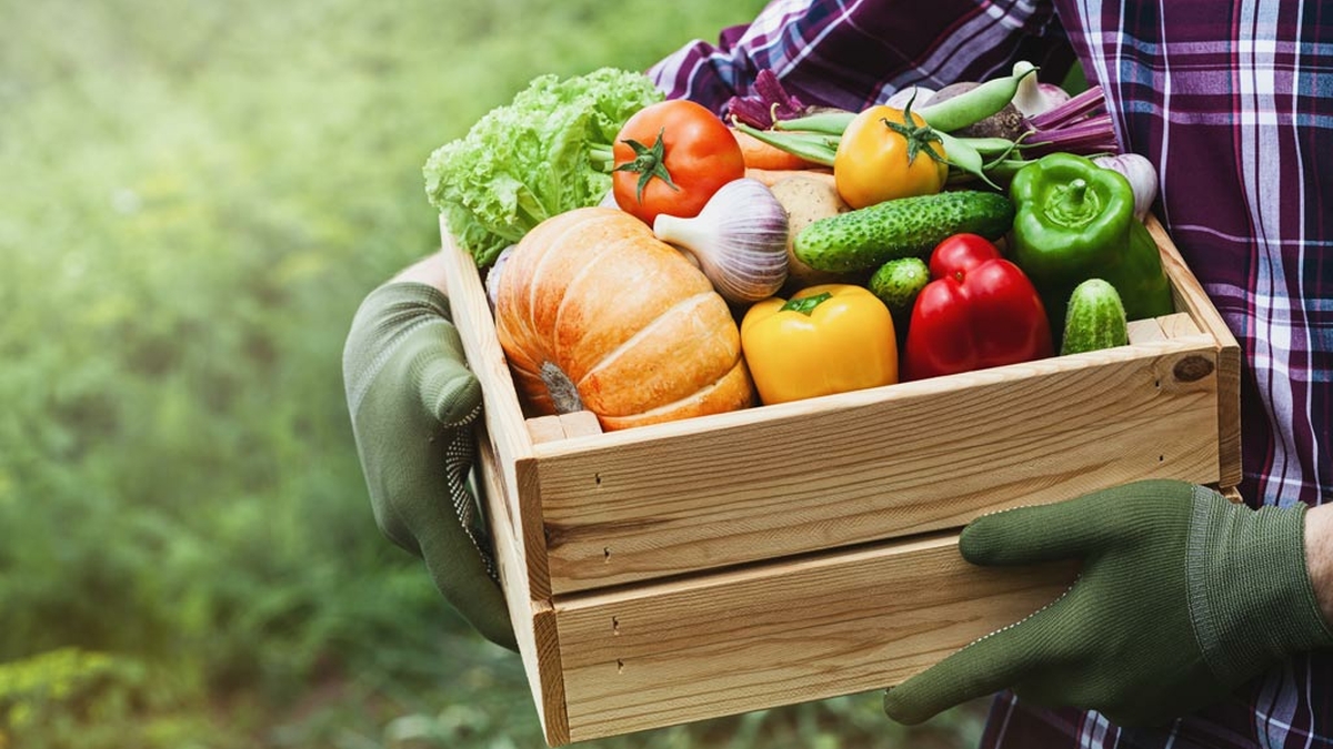 Fruits et légumes à gogo : le secret pour bien manger